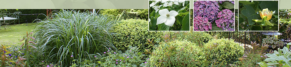 Garten Schwieters Raritäten